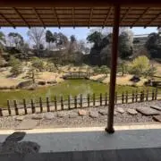 タカダナスの画像