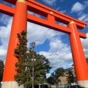 碧の画像