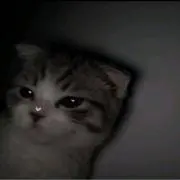 なるせの画像