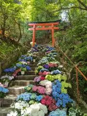 さやの画像