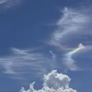 ☆ゆゆ☆の画像