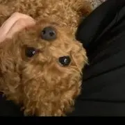 noriの画像