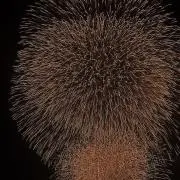 大掃除中！！