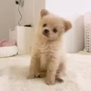 ^ ^の画像