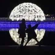 ポニョポニョの画像