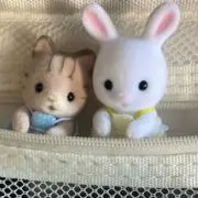 PICKUS 安部結蘭 アベユラ トレカ ヨントン 日プ新世界 - メルカリ