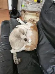もっちゃん