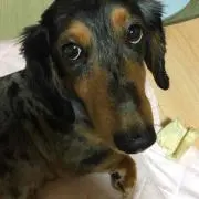 たろまろ(プロフ必読)