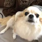 Matsuの画像