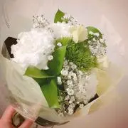 こぱの画像