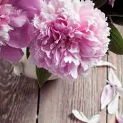 もんもん❣昭和・平成出品中！即購入歓迎の画像