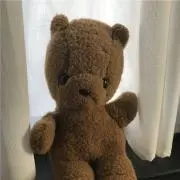杏の画像
