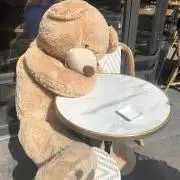なんちゃんの画像