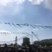れんの画像