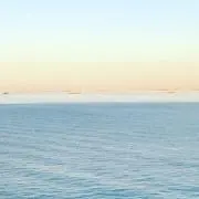 はんぺん ※プロフ必読※