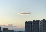 みやーんの画像