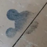 なちゅ☆プロフ確認