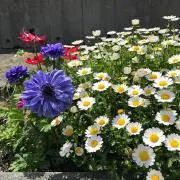 ゆう　プロフィール確認お願いします