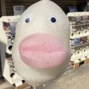 ちろぴの BIGおすわりぬいぐるみ 2体セット - メルカリ