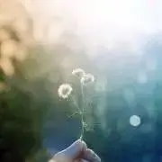 aの画像