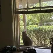 kの画像