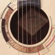 Tanuの画像