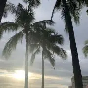 yuuvvの画像