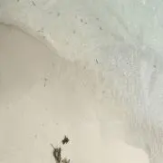 あずまの画像