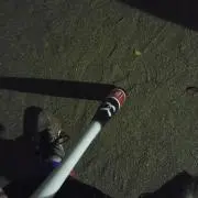 すぎもの画像