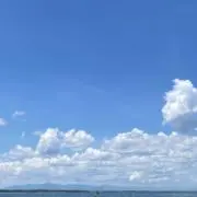 sheepの画像