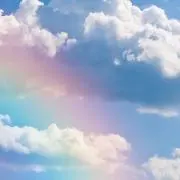ミーコの画像