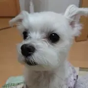 りーー