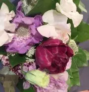 ニャンさゆ