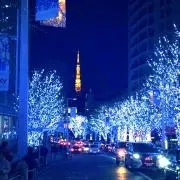 ゆかりんの画像