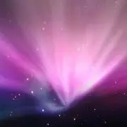 AO木