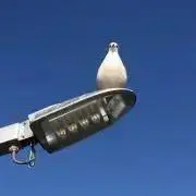 激安Shop☆早くて安くて安心なお取引！の画像