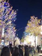 もっちり猫の画像