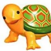 ミドリガメ