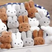 kokoABXYの画像