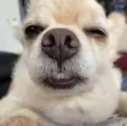 あんばあ プロフ確認お願いします