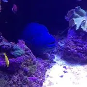*☻まゆ☻*