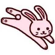 うさぎの画像