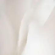 Rの画像