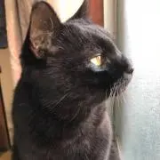 月愛の画像