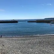 ちぃの画像