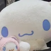 てち⚠猫いますの画像