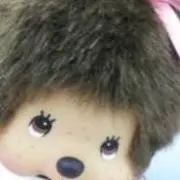 もんちっちの画像