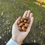 体幹ゼロ【新生活につき週末対応します！】の画像