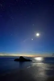 LuckyStarの画像