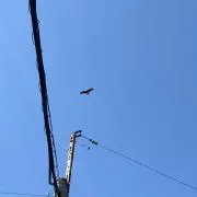 アルの画像